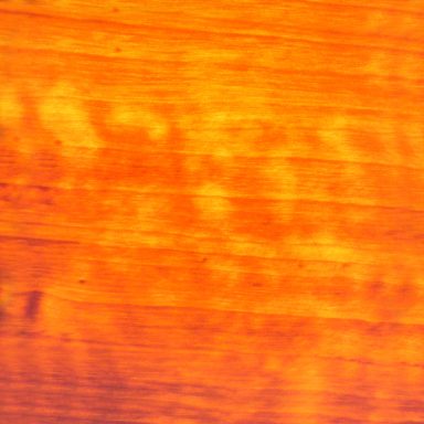 Teak Gold